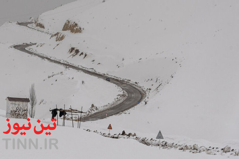 گزارش تصویری | «کوهرنگ» مدفون در برف