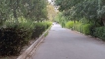 پیاده روهای شهر فقط در عکس، آرام به نظر می رسند