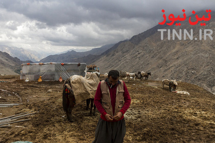 کولبر