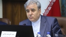 ماموریت‌ خصوصی‌ها برای معاون گردشگری